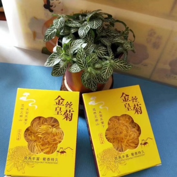 金丝皇菊茶