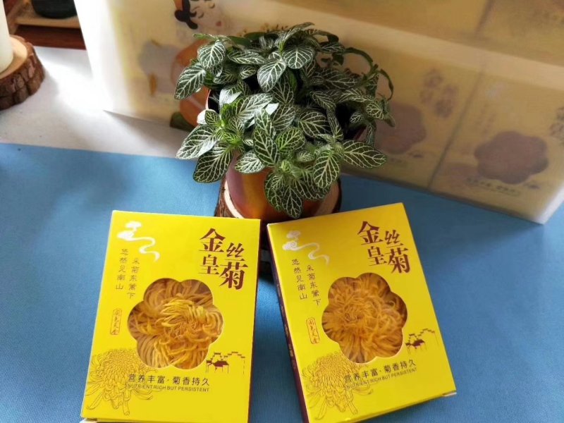 金丝皇菊茶