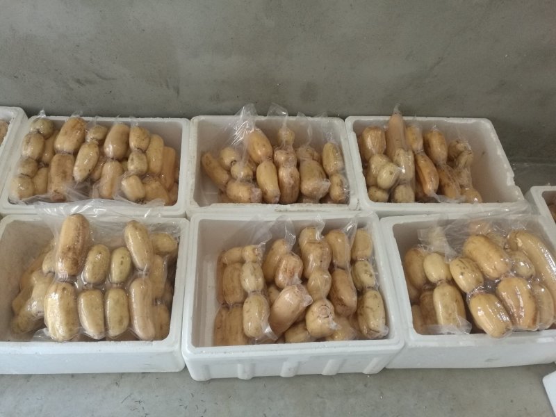 包装精品莲藕