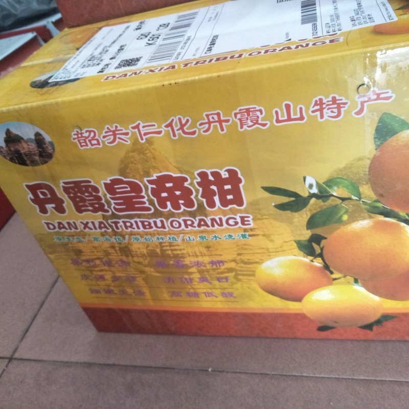 黄帝柑子上市啦！！欢迎各位老板订购了
