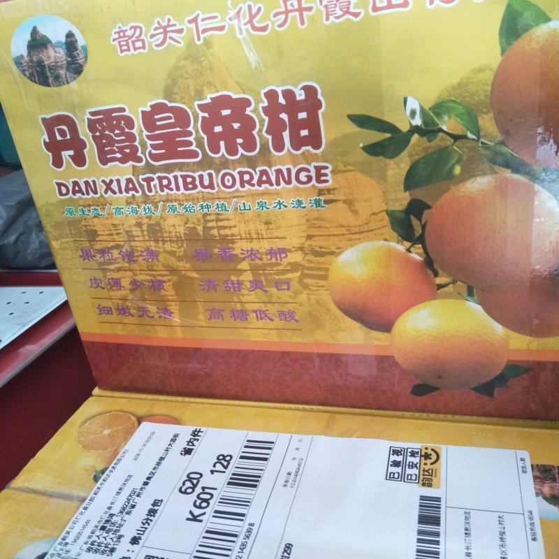 黄帝柑子上市啦！！欢迎各位老板订购了