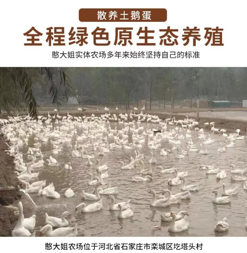 鹅蛋
