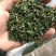 桑叶茶