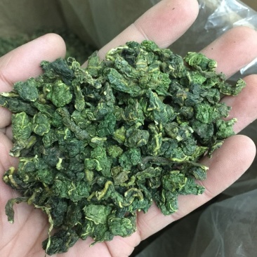 桑叶茶