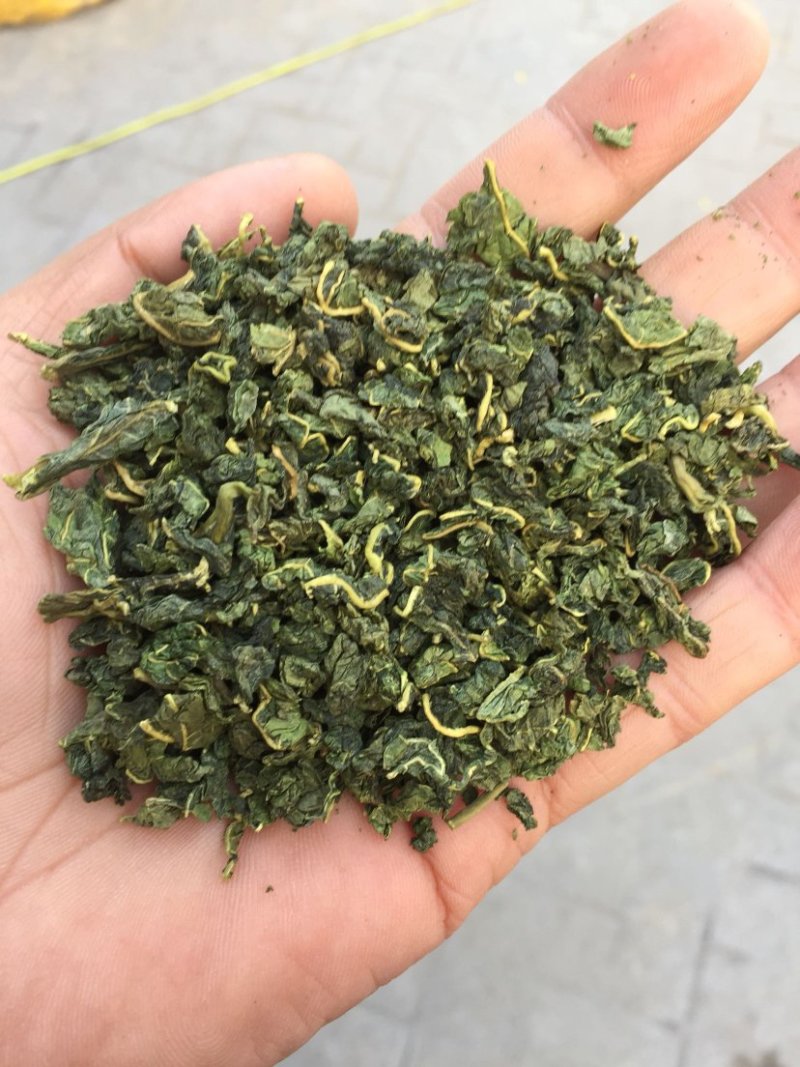 桑叶茶