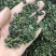 桑叶茶