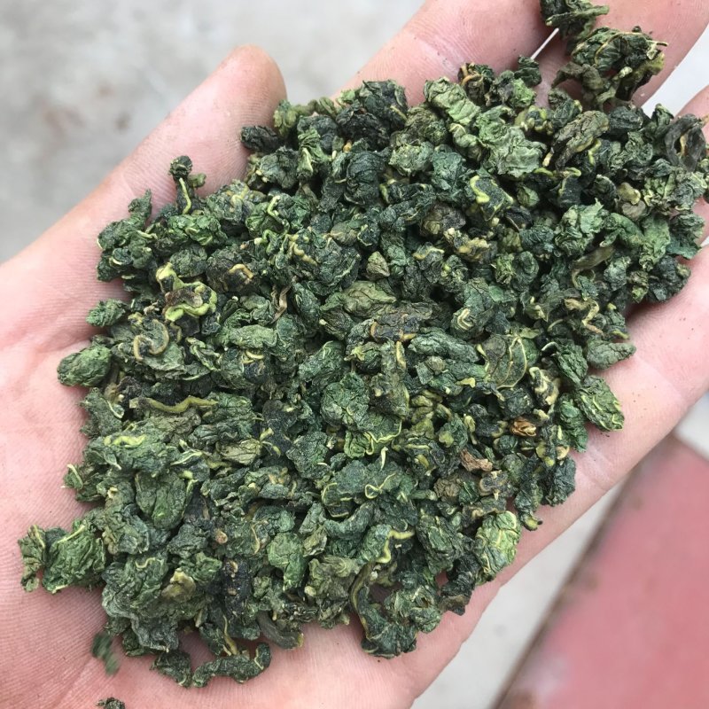 桑叶茶