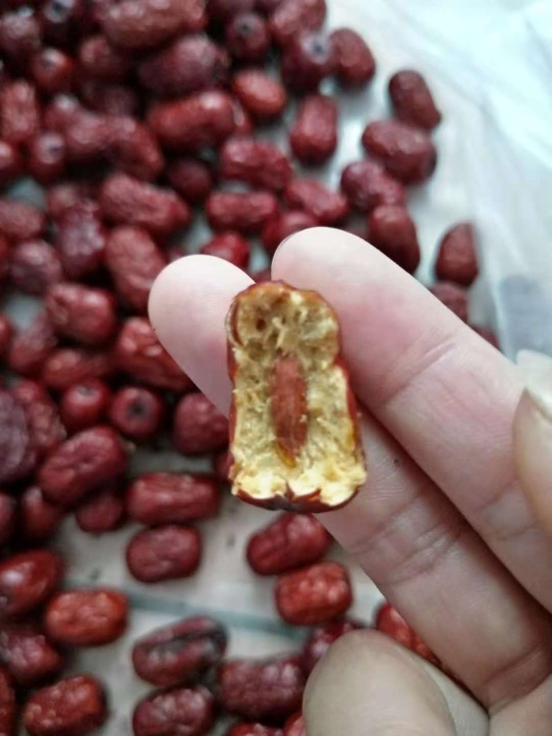 沧州小枣
