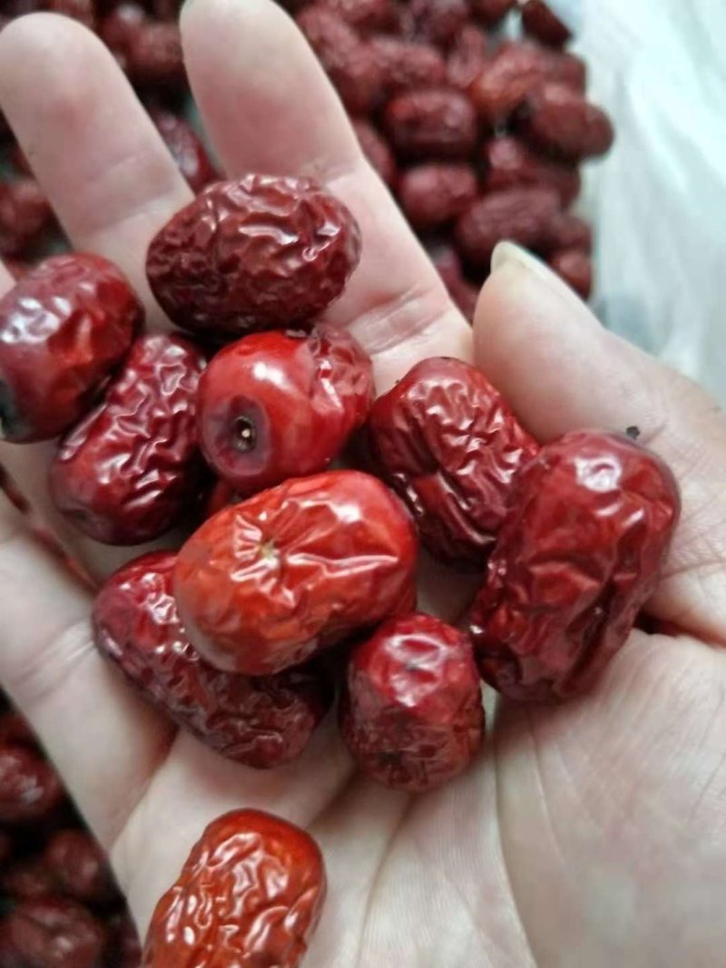 沧州小枣