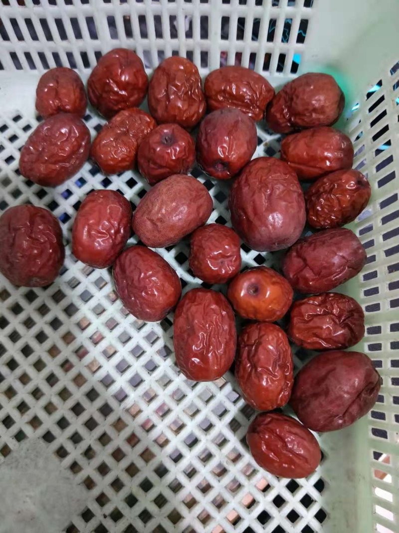 沧州小枣