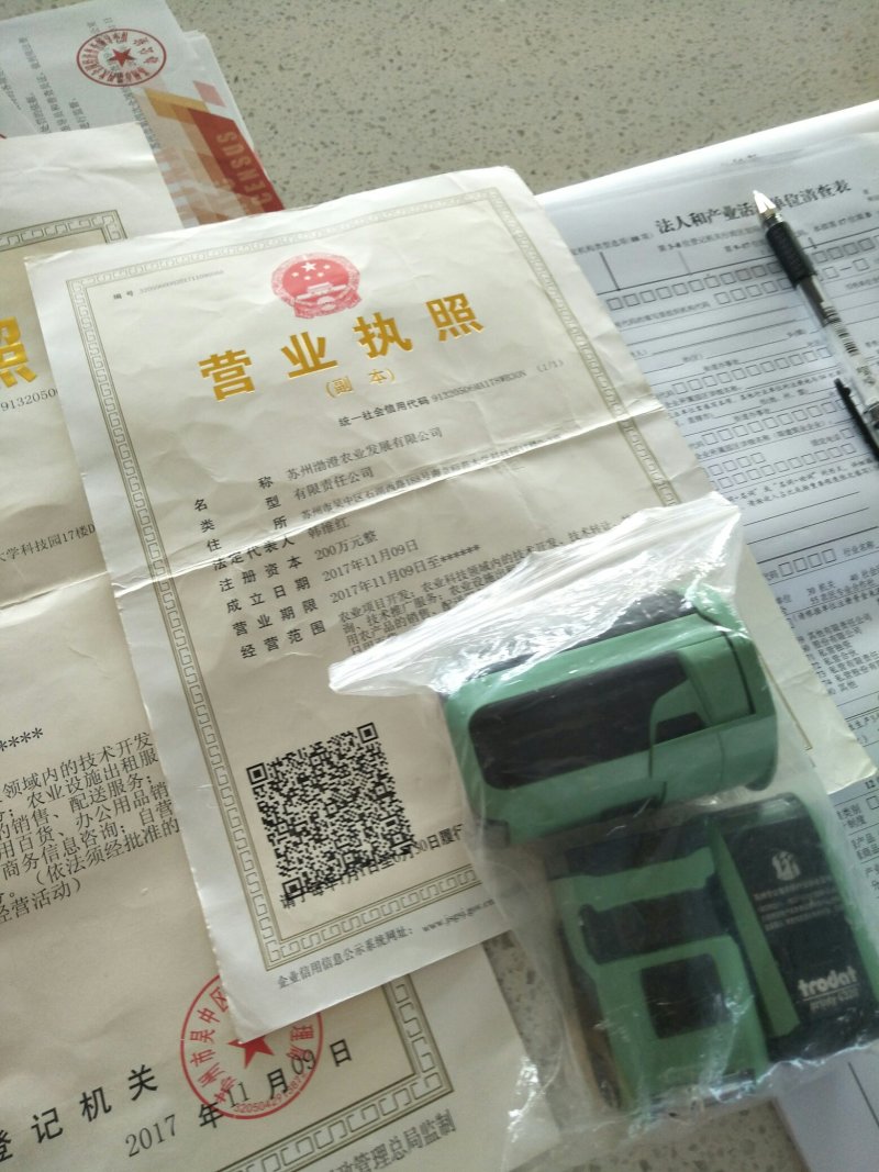 大叶蒿子，茼蒿菜菜