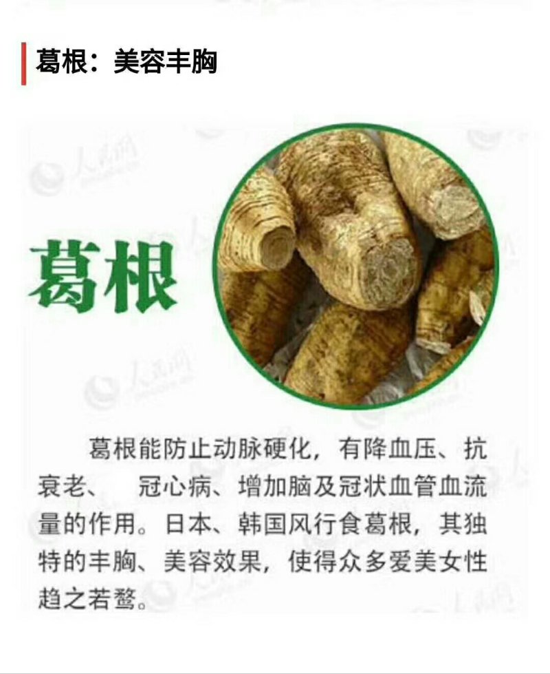 大别山野生柴葛根深山采挖