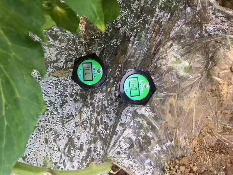 数显PH计，酸碱度