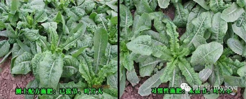 测土配方施肥仪