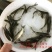 青鱼苗6-12厘米
