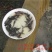 革胡子鲶鱼鱼苗埃及塘虱鱼苗