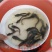 革胡子鲶鱼鱼苗埃及塘虱鱼苗
