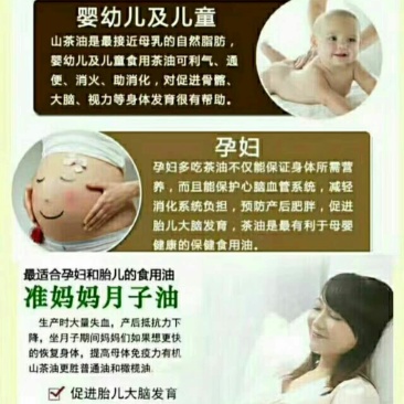 野生茶籽油