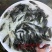 淡水石斑鱼苗