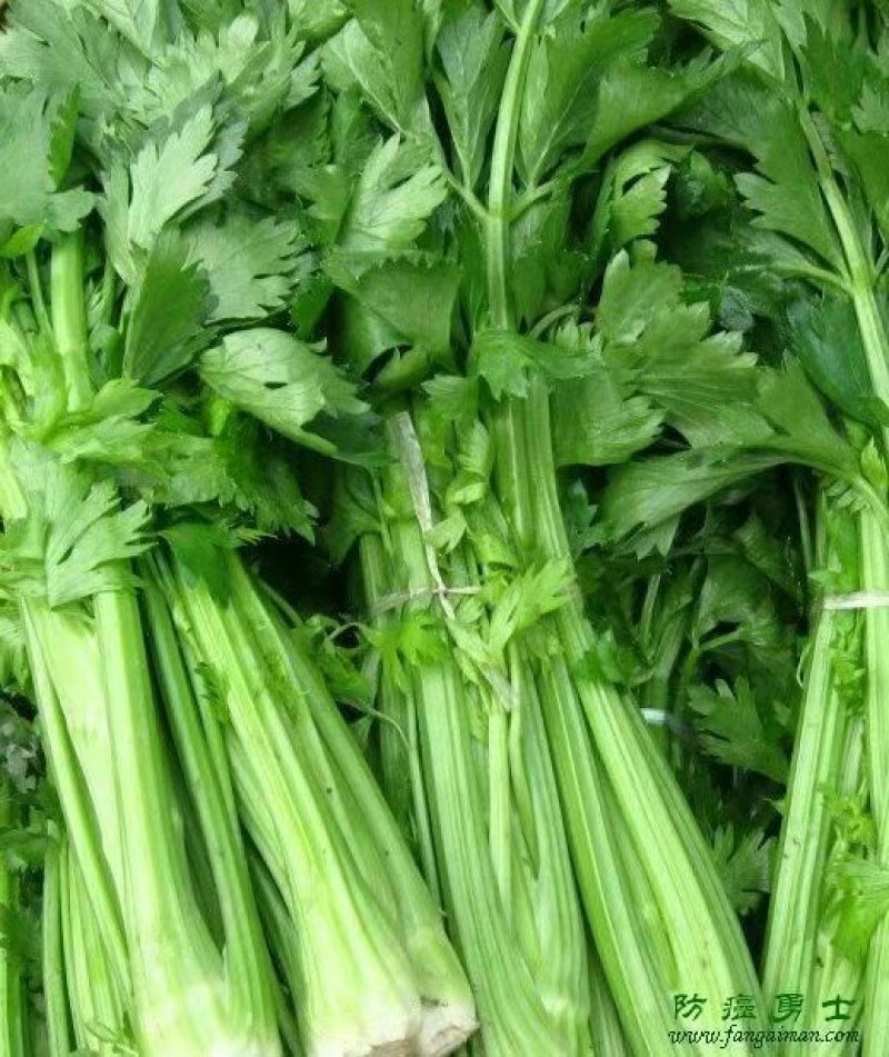 青州芹菜