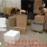 丁桂鱼苗丁岁鱼苗