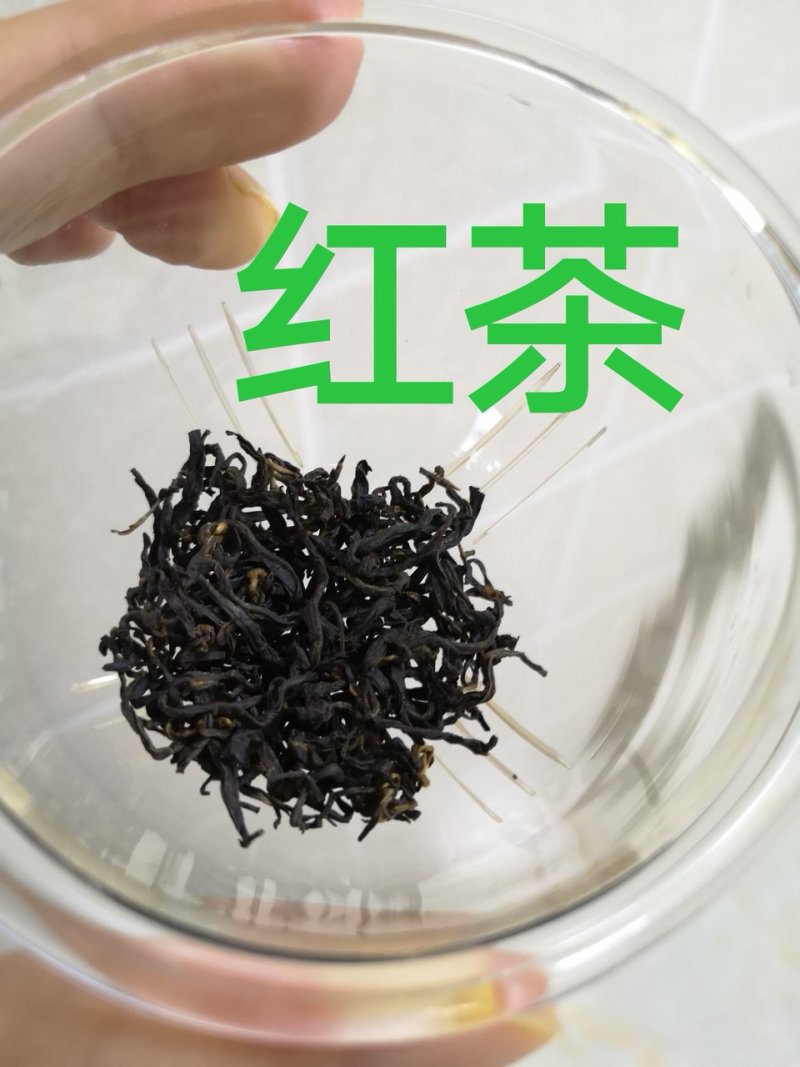 特级古树红茶