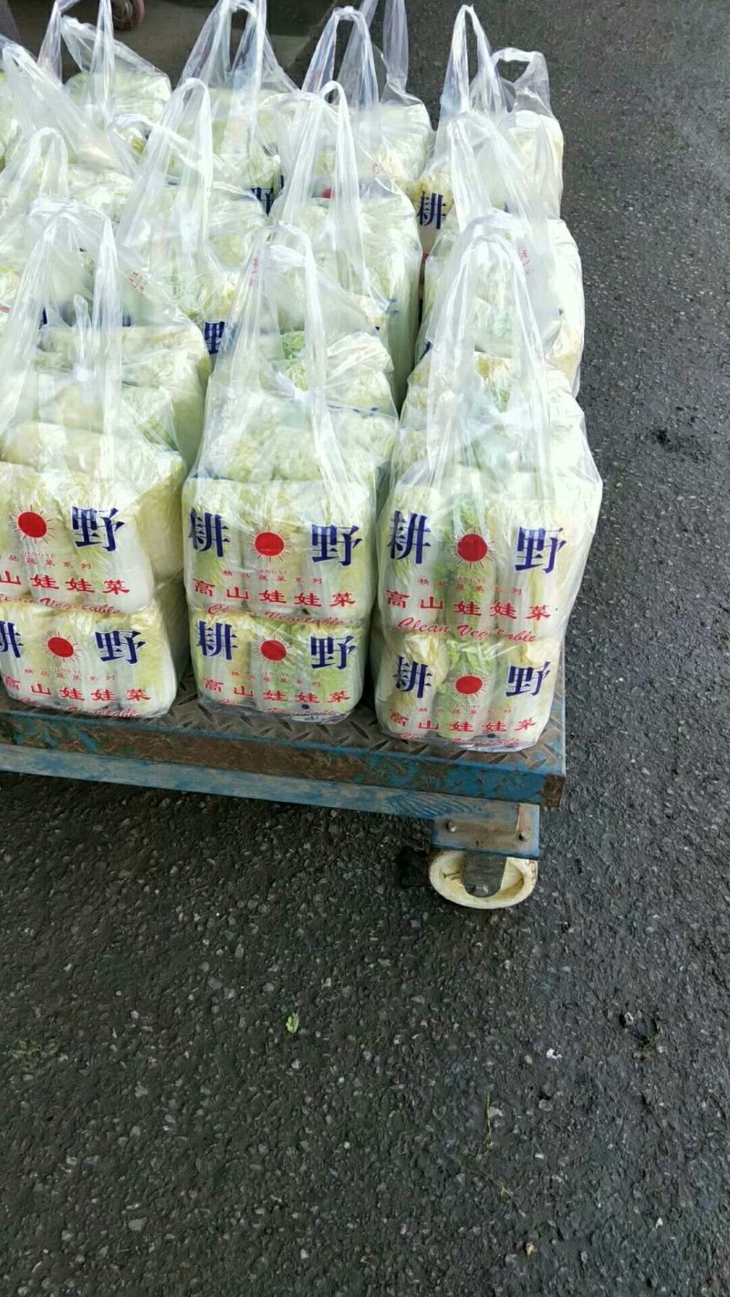 精品菜