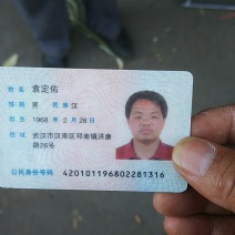 黄豆