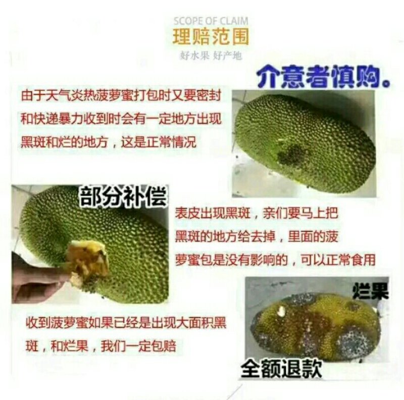 菠萝蜜精品果出肉高/饱满多肉！自助下单(坏果包赔)