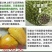 菠萝蜜精品果出肉高/饱满多肉！自助下单(坏果包赔)