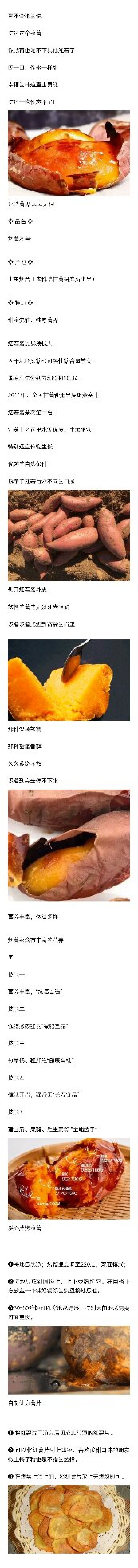 烟薯25，生态种植烟蜜薯，临沭流蜜地瓜红薯