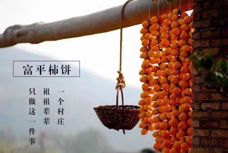 正宗富平曹村柿饼批发