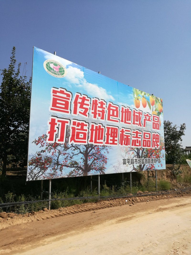正宗富平曹村柿饼批发