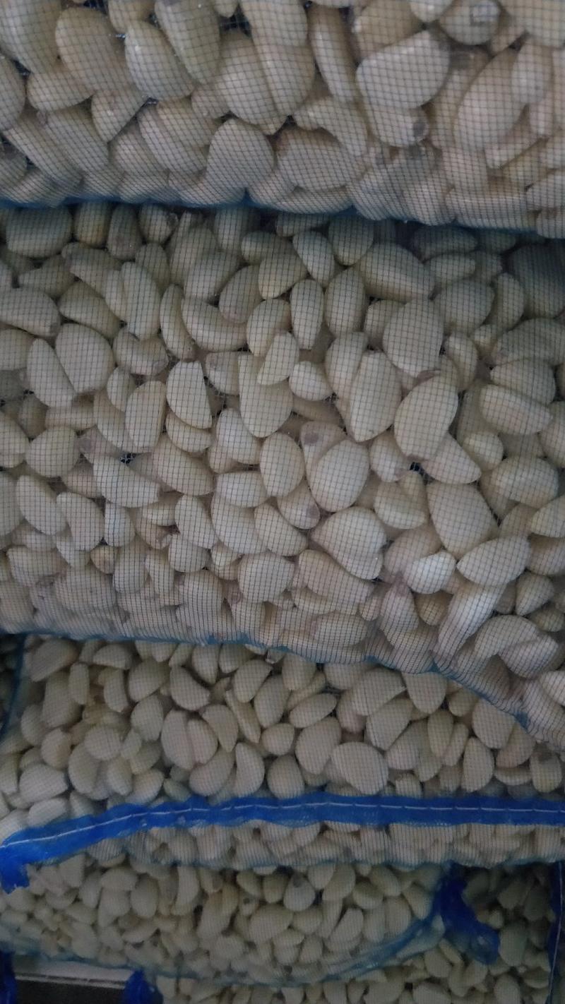 金乡蒜米天天有货大量供应全国各地市场一吨起批
