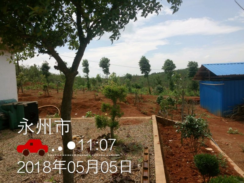 喷头大田喷灌喷头，地插、吊挂微喷头，各种流量可选