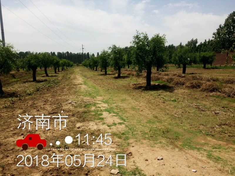喷头大田喷灌喷头，地插、吊挂微喷头，各种流量可选
