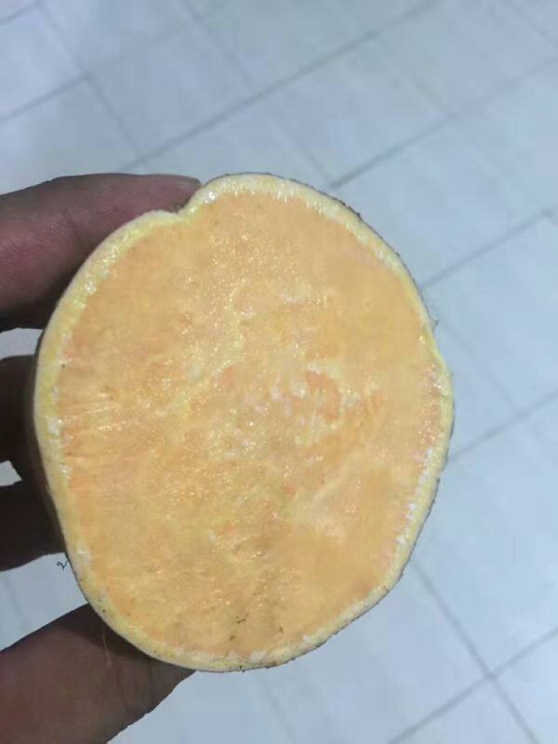 纯地瓜粉条