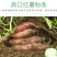 纯地瓜粉条