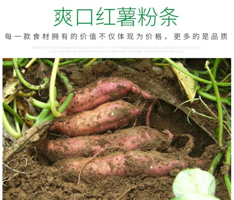 纯地瓜粉条