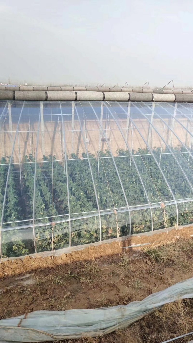 【厂家直销】润裕精品PO膜EVA精品po膜棚膜大棚膜