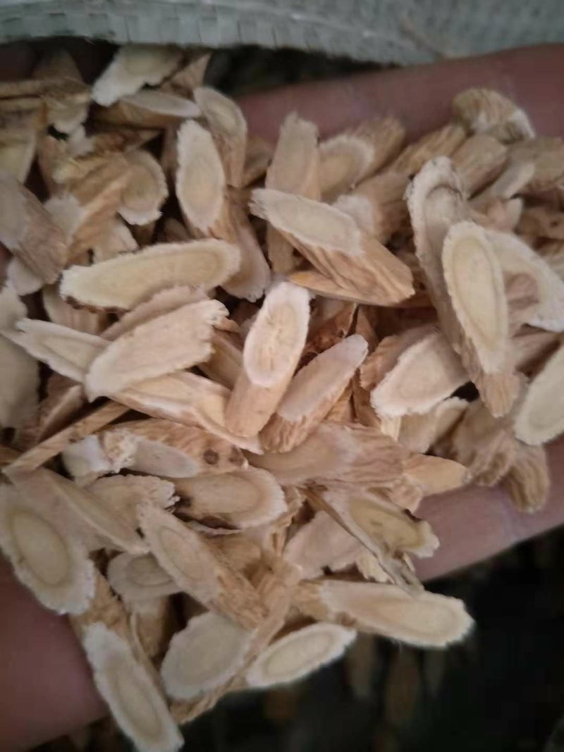 黄芪指甲片，甘肃产地批发零售，货源充足，欢迎产地考察选购