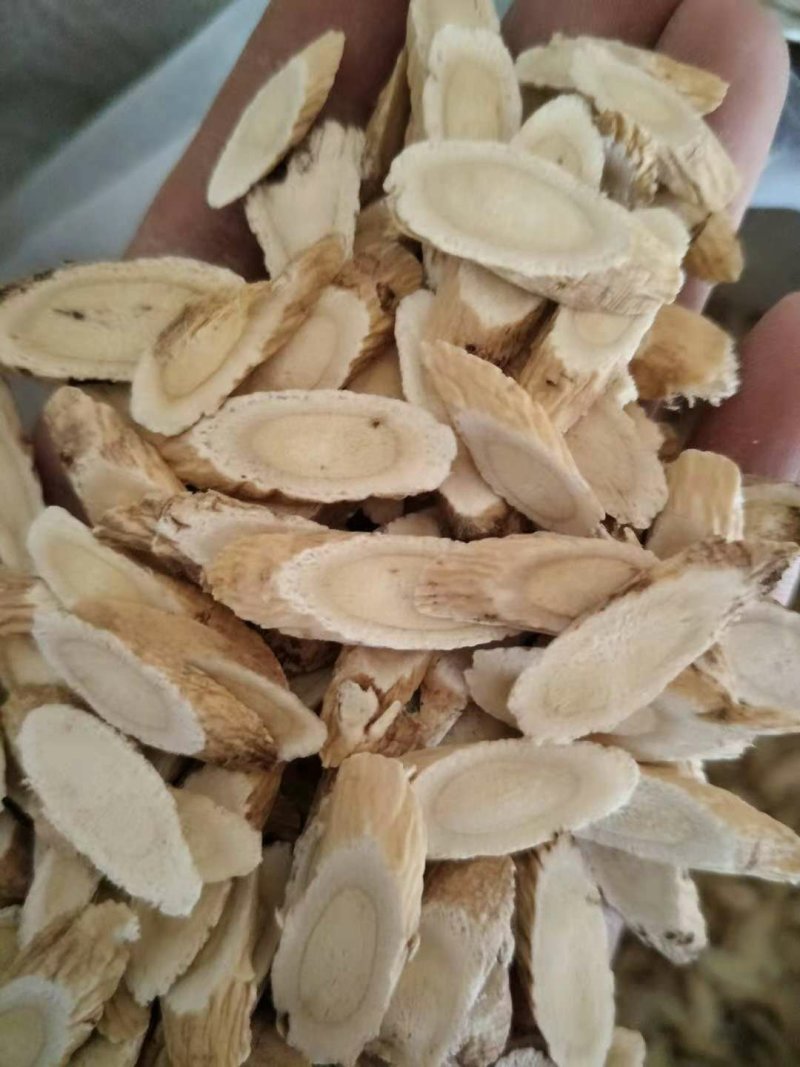 黄芪指甲片，甘肃产地批发零售，货源充足，欢迎产地考察选购