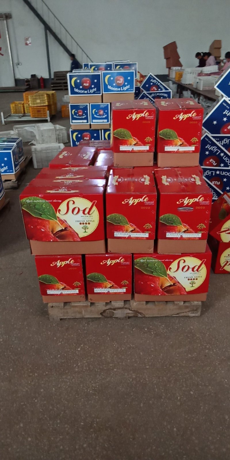 苹果出口代加工，代收，代包装提供场地检疫证，产地批发代发