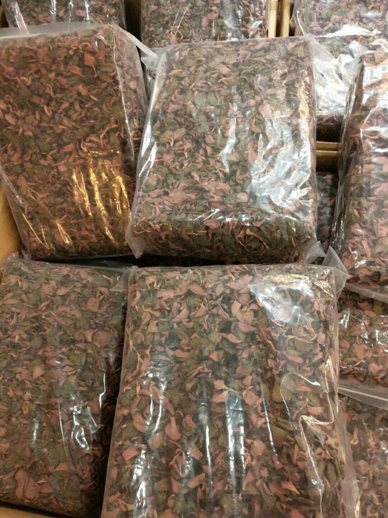 金线莲干品整株养生茶无硫熏大叶泡茶煲汤包邮