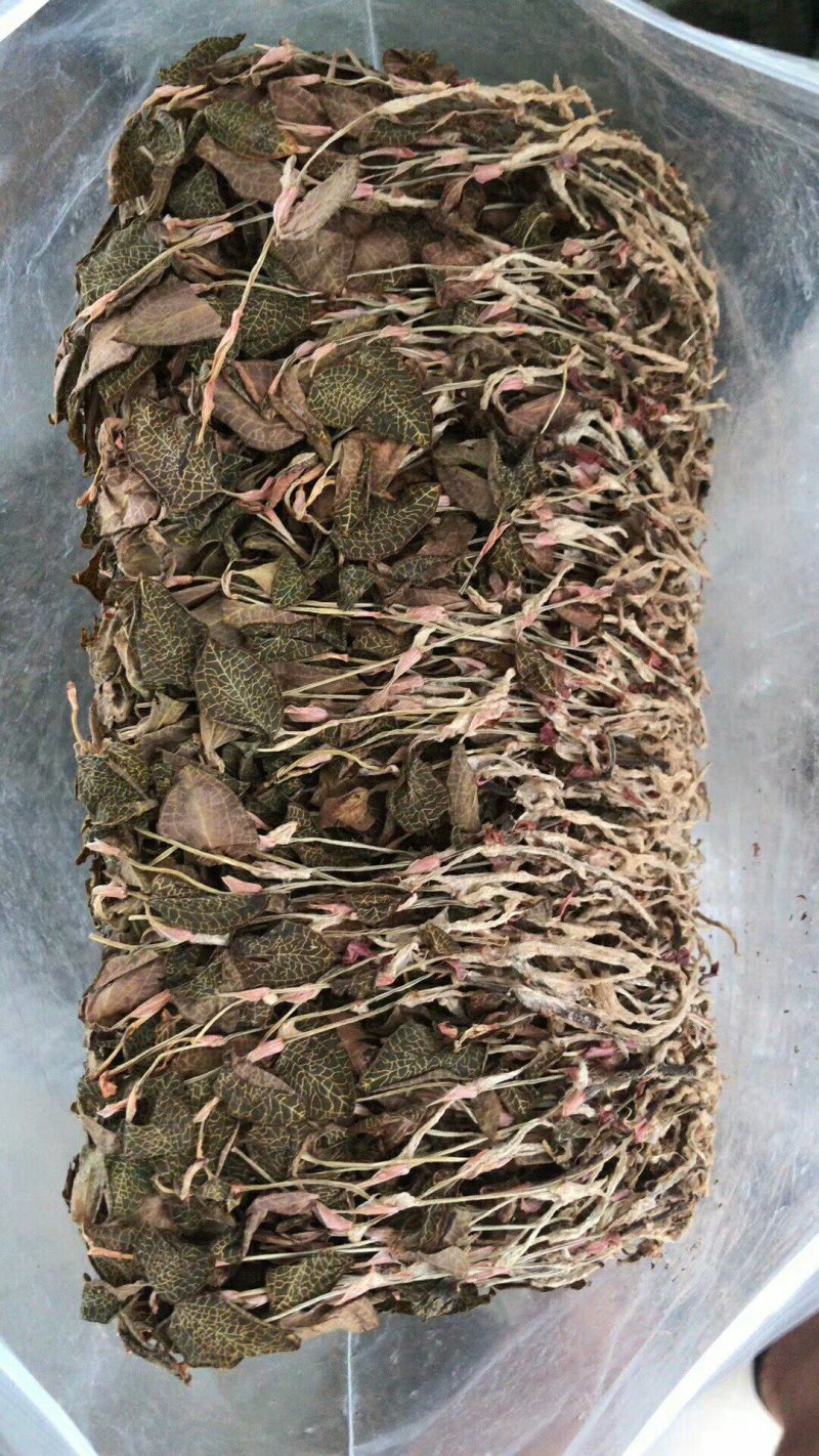 金线莲干品整株养生茶无硫熏大叶泡茶煲汤包邮