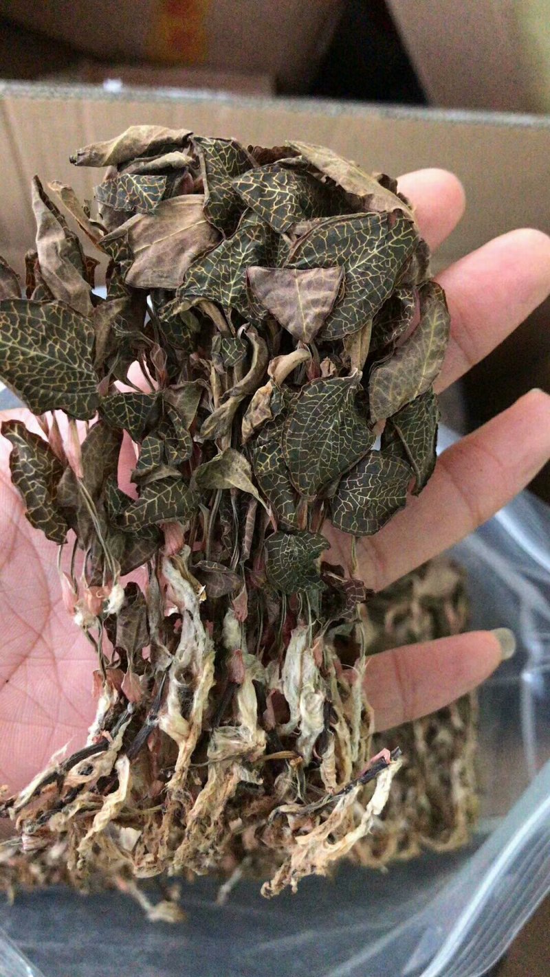 金线莲干品整株养生茶无硫熏大叶泡茶煲汤包邮