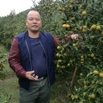 脆皮金桔