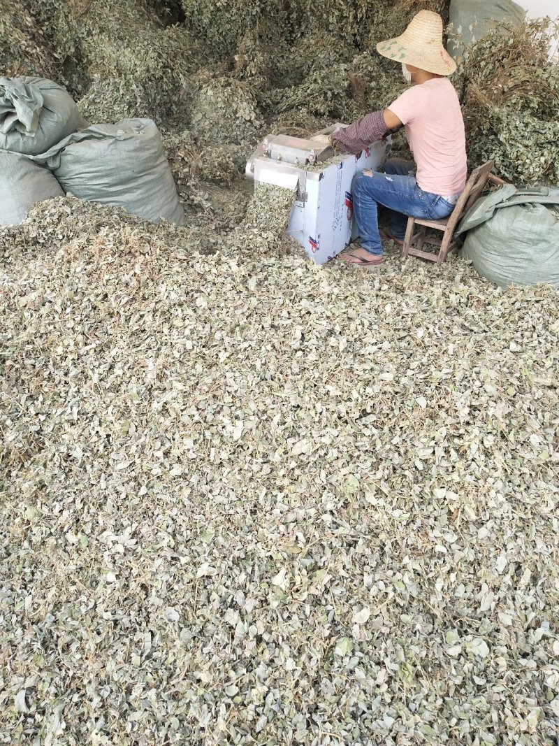 金钱草