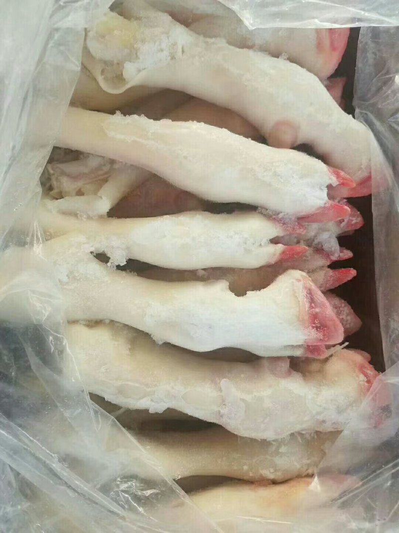 小羊蹄子规格齐全质量上乘量大价优饭店必备
