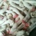 小羊蹄子规格齐全质量上乘量大价优饭店必备